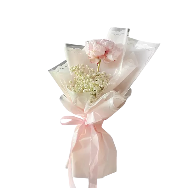 Peony Dream